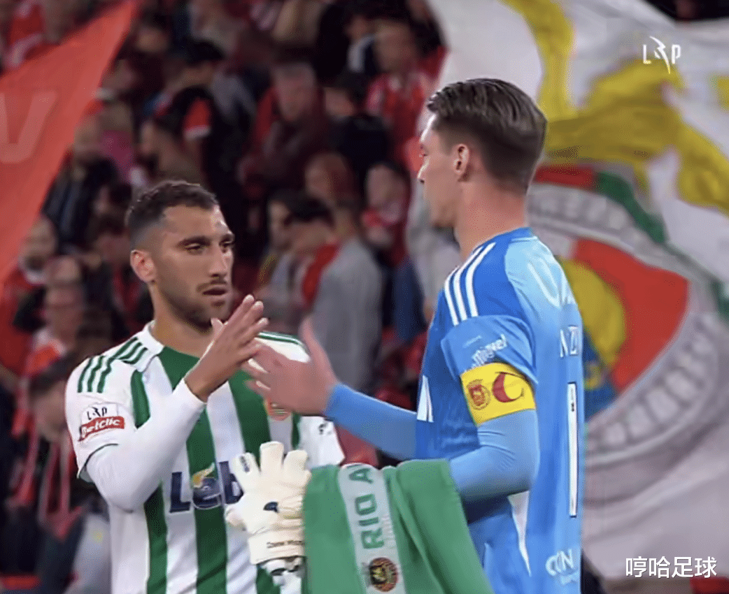 爱游戏娱乐 -本菲卡最新消息最新